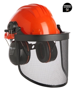 Imagen de Casco forestal completo 3L